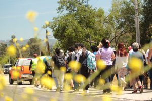 20231118 Puente Alto Pellegrinaggio A Lo Vasquez 22